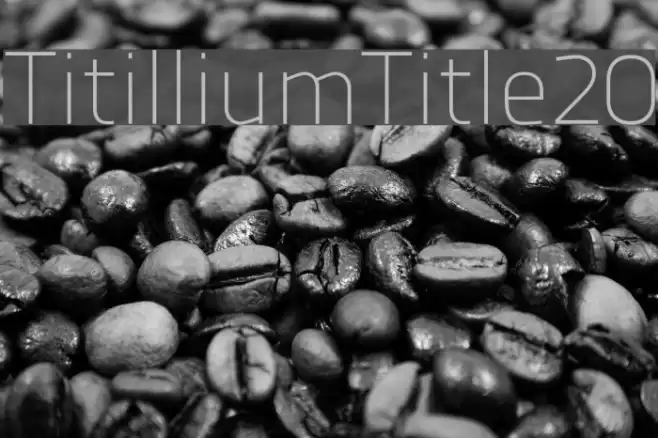 TitilliumTitle20 Font examples
