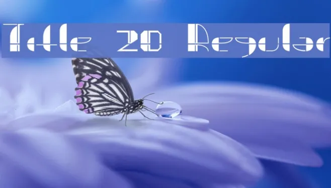 Title 20 Regular Example 1