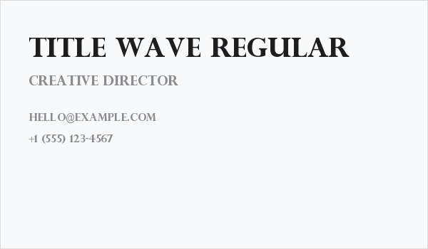 Title Wave Regular Business Card