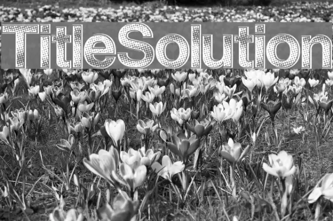 TitleSolution Font examples