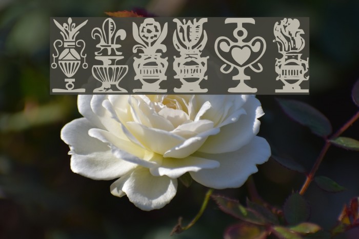 Titling-Ornaments-1 Font examples