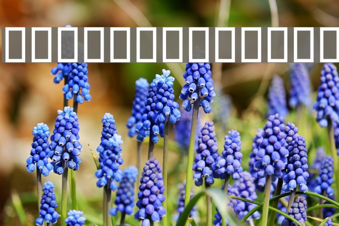 Titr 3D Font examples