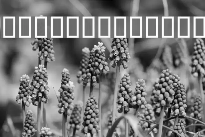 Titr 3D Font examples