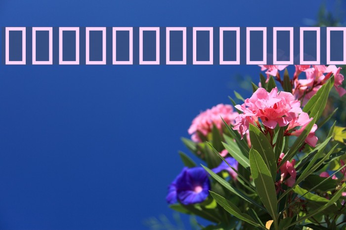 Titr Fancy Font examples