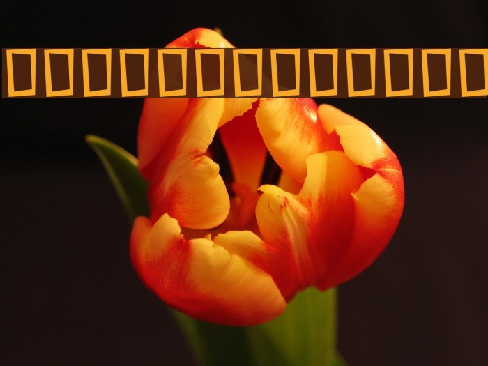 Titr Particle Font examples