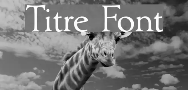 Titre Fonte examples