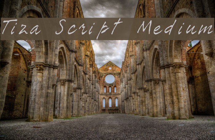 Tiza Script Medium Font examples