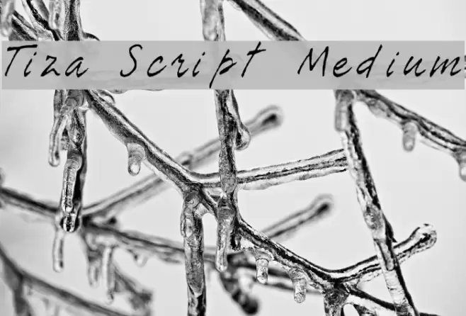 Tiza Script Medium Font examples