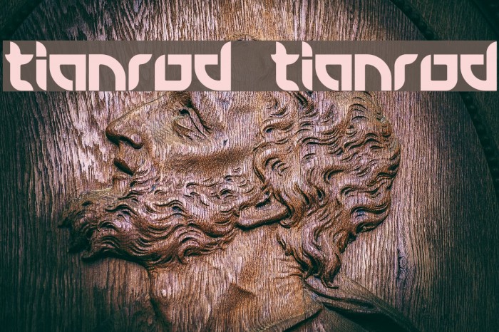 tianrod tianrod Example 2