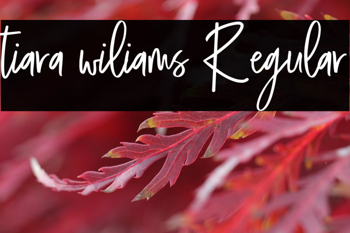 tiara wiliams Regular Example 2