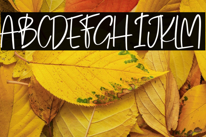 tiarawiliams-Regular Example 2