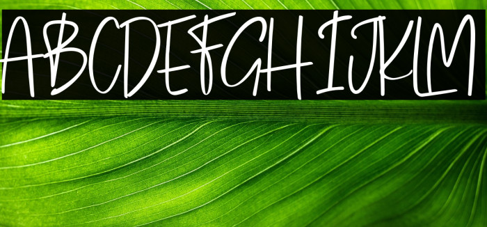 tiarawiliams-Regular Example 3