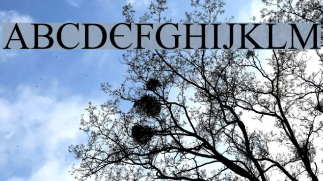 tiboo5font Example 3