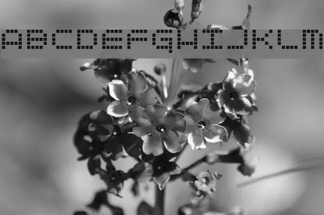 ticker Font examples