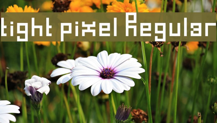 tight pixel Regular Font examples