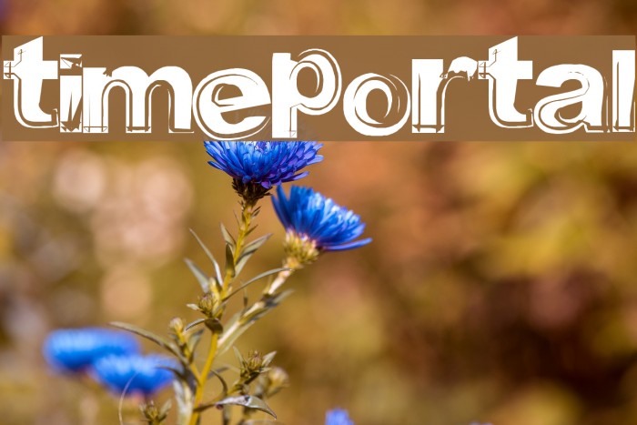 timeportal フォント examples