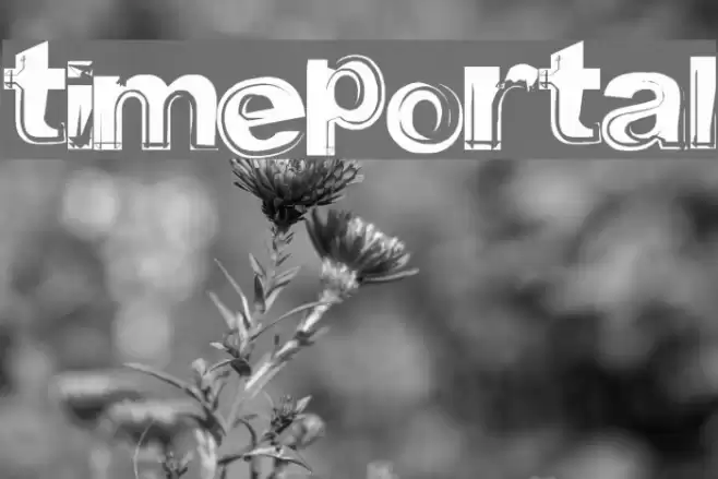 timeportal フォント examples
