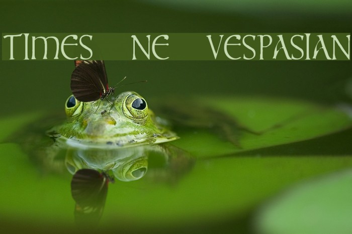 times new vespasian Font examples