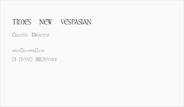 times new vespasian Business Card