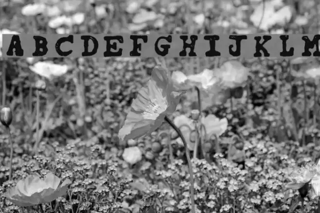 tipo carimbado Font examples