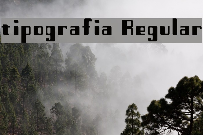 tipografia Regular Font examples