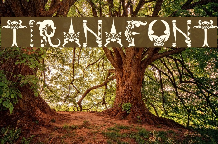 tiranafont Example 1
