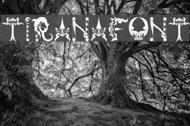 tiranafont Font examples