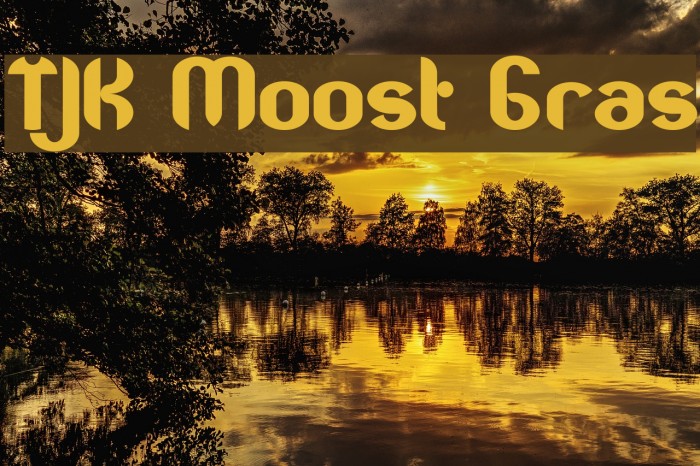 TJK Moost Gras Font examples