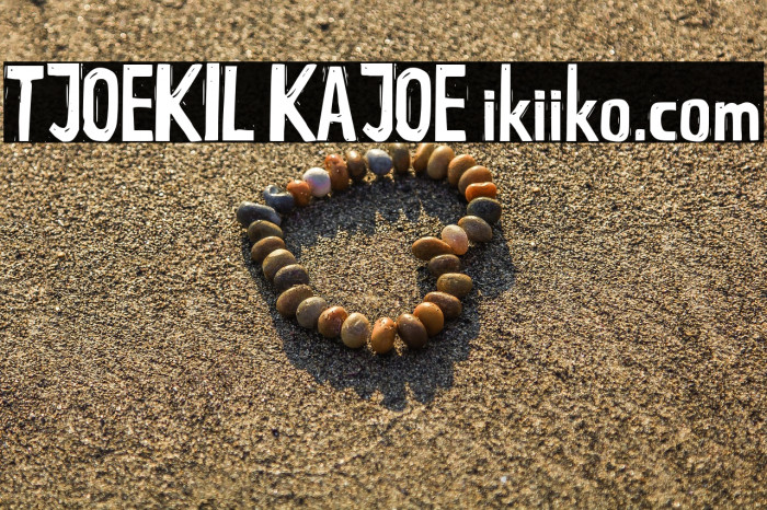TJOEKIL KAJOE ikiiko.com Example 3