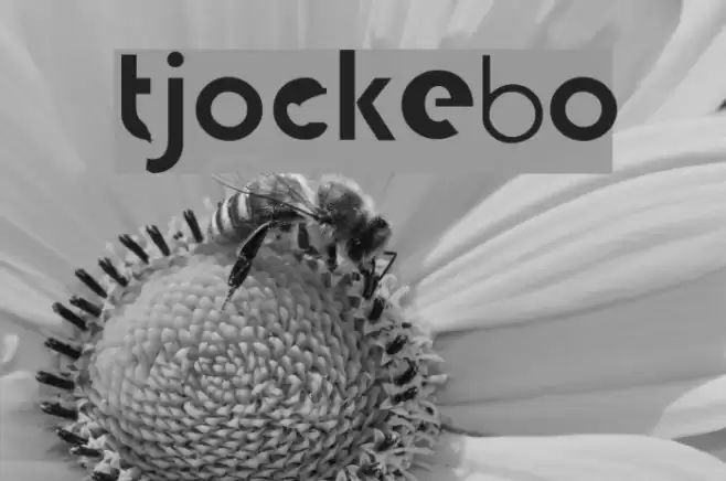 tjockebo Font examples