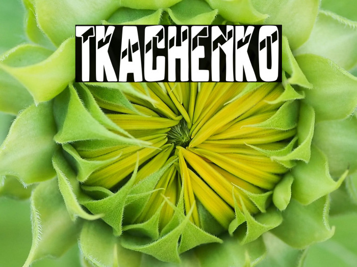 Tkachenko Example 3