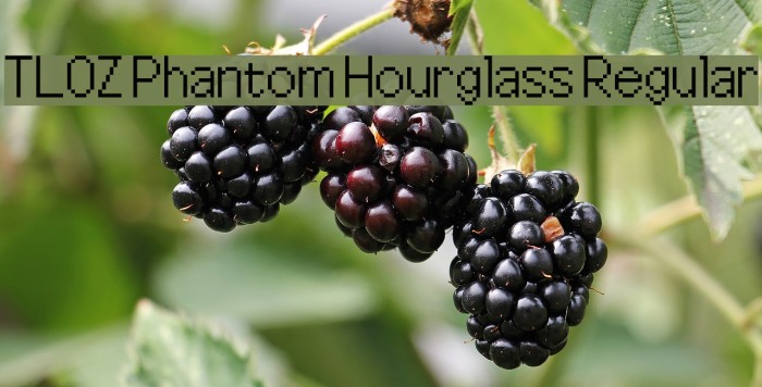 TLOZ Phantom Hourglass Regular Example 1