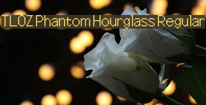 TLOZ Phantom Hourglass Regular Example 2