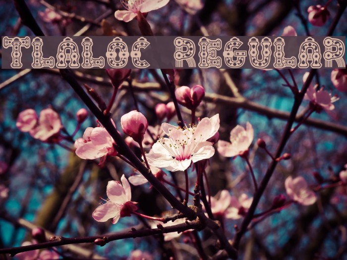 Tlaloc Regular Font examples