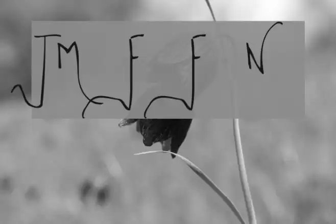 TM First Fleet Normal Font examples