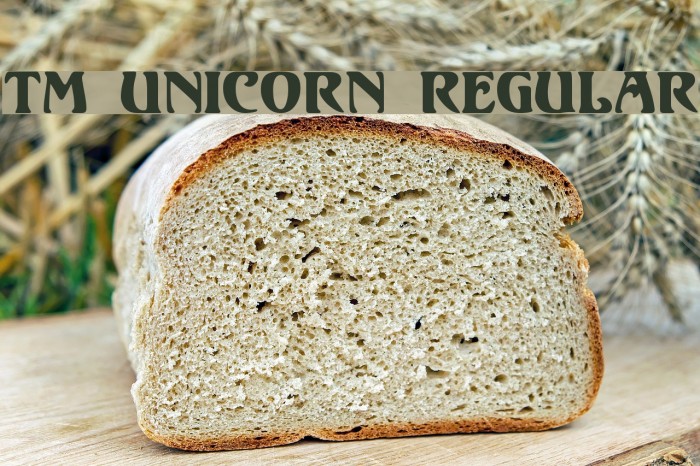 TM Unicorn Regular Font examples