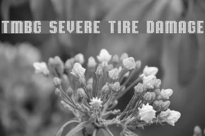 TMBG Severe Tire Damage Шрифта examples