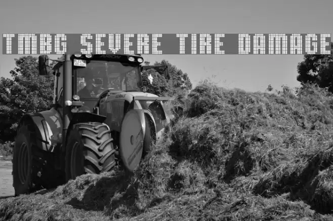 TMBG Severe Tire Damage Шрифта examples