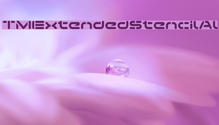 TMExtendedStencilAl Example 2