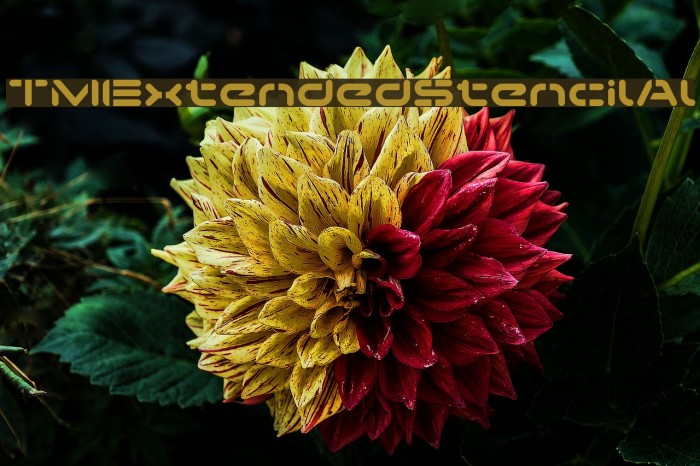 TMExtendedStencilAl Example 3