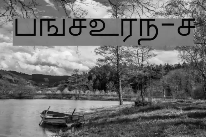 TMNEWS-Normal Font examples