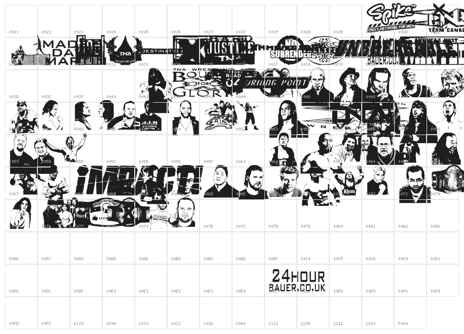 TNA Bound for Glory Character Map