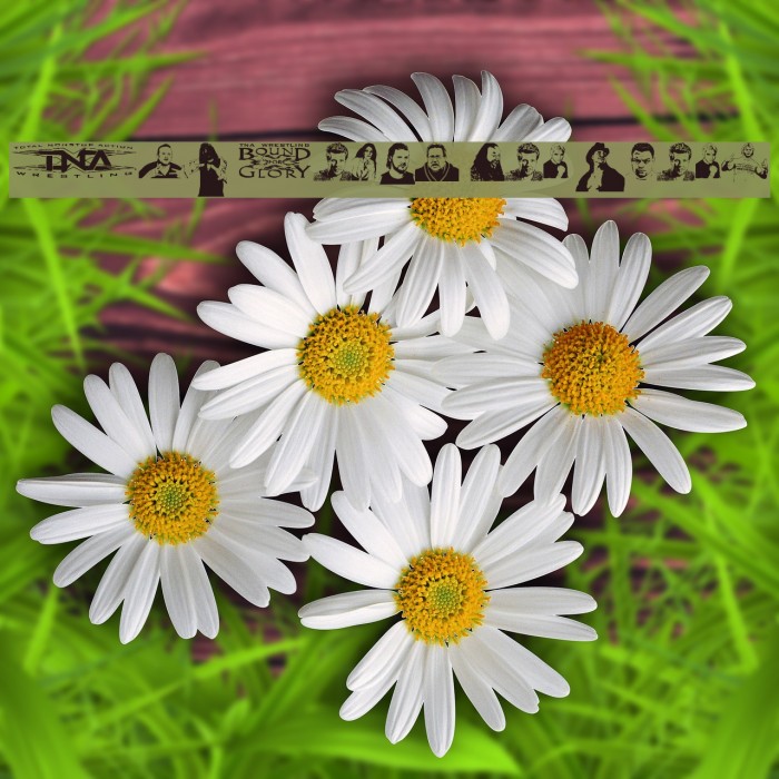 TNA Bound for Glory Example 3