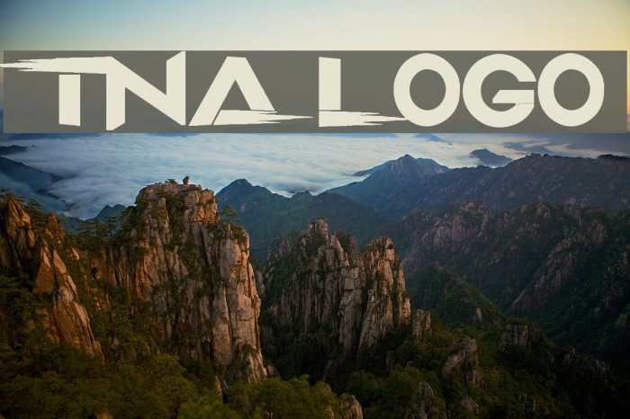 TNA LOGO Font examples