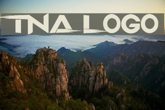 TNA LOGO Example 3