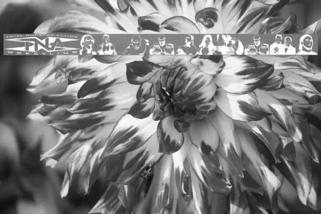 TNA Lockdown Font examples