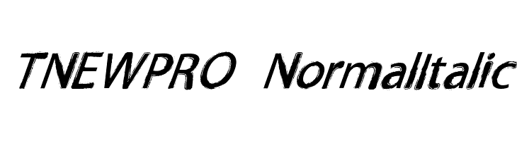 TNEWPRO NormalItalic Font