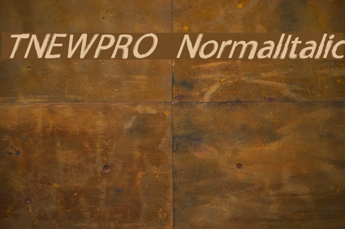 TNEWPRO NormalItalic Font examples