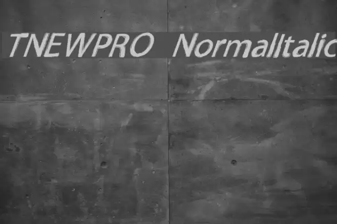 TNEWPRO NormalItalic Шрифта examples