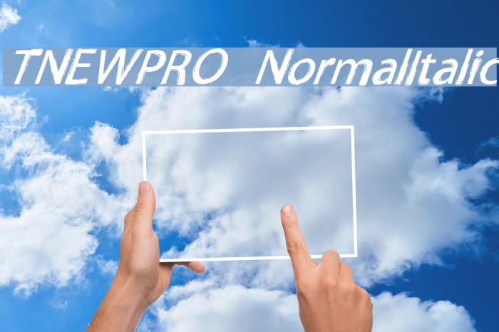 TNEWPRO NormalItalic Font examples
